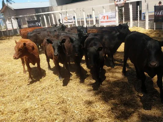 tn_IMG_20231127_123810857