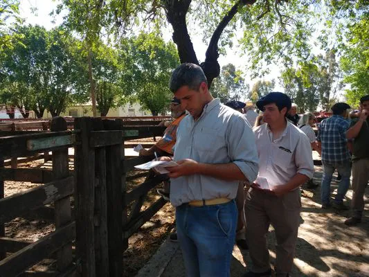 tn_IMG_20231108_152245663