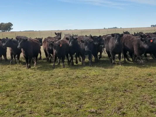 tn_IMG_20230909_121505834_HDR