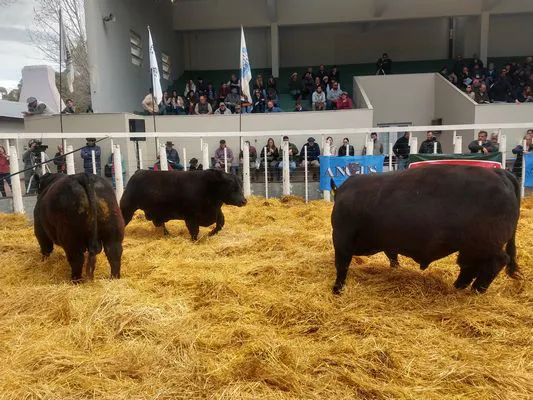 tn_IMG_20230922_144204775_HDR