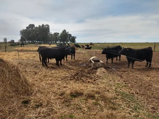 tn_IMG_20230909_131355313_HDR