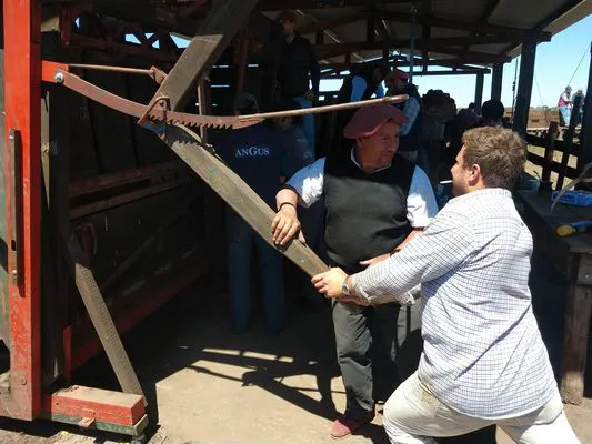 tn_IMG_20231116_112537446