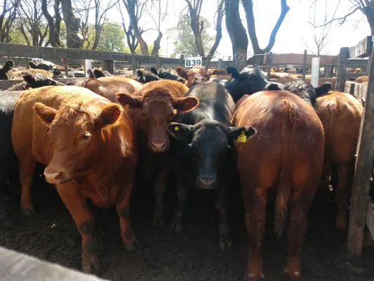 tn_IMG_20230928_113251136