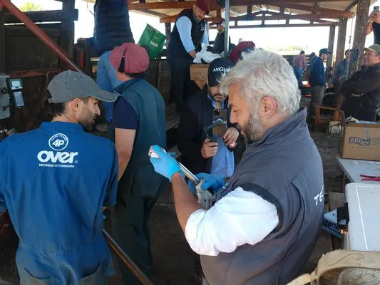 tn_IMG_20231116_111320828