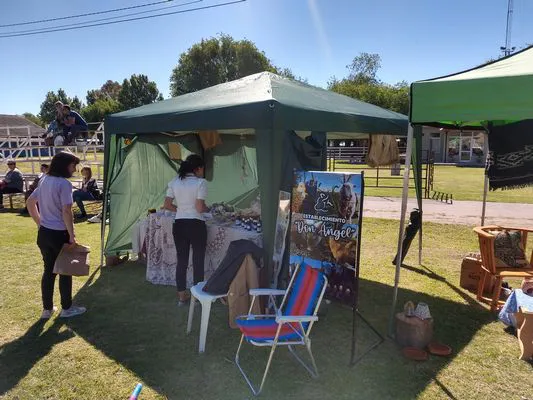 tn_IMG_20231104_153743835_HDR