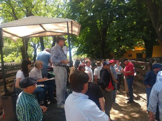 tn_IMG_20231122_134632004