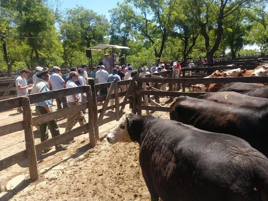 tn_IMG_20231122_135937701