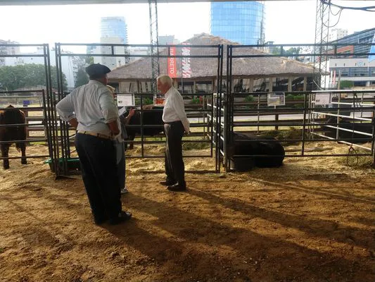 tn_IMG_20231128_174950433