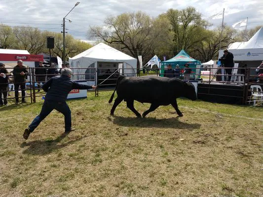 tn_IMG_20230922_124958404