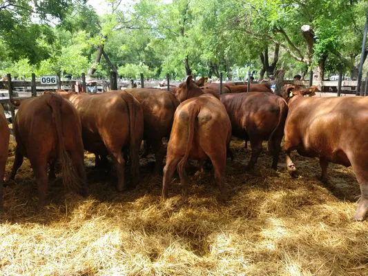 tn_IMG_20231129_150413921