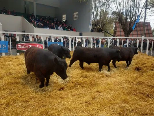 tn_IMG_20230922_144614588_HDR