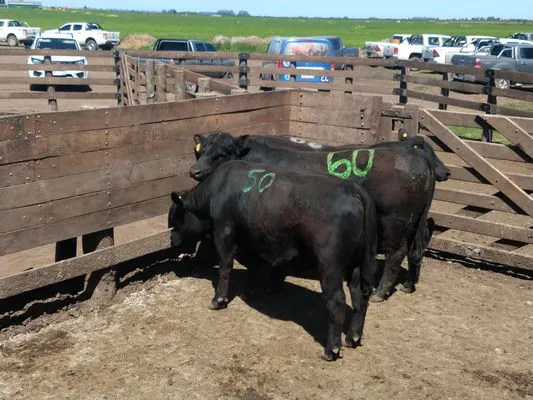 tn_IMG_20231116_105118955