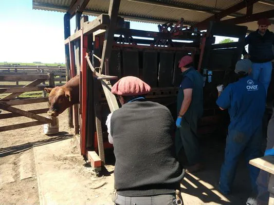 tn_IMG_20231116_104923425