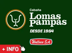 Campo Industria