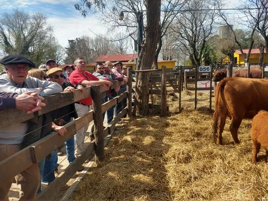 tn_IMG_20230928_144230622_HDR