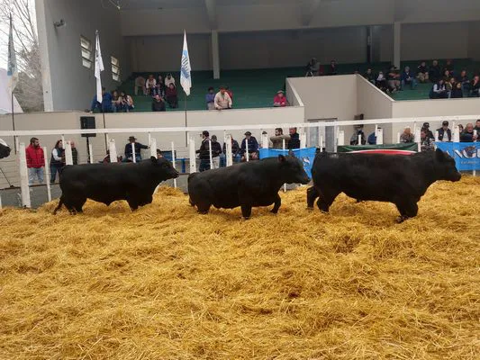 tn_IMG_20230922_162633118_HDR