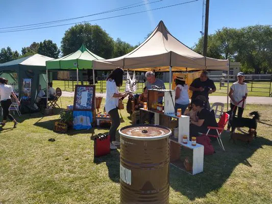 tn_IMG_20231104_153733826_HDR