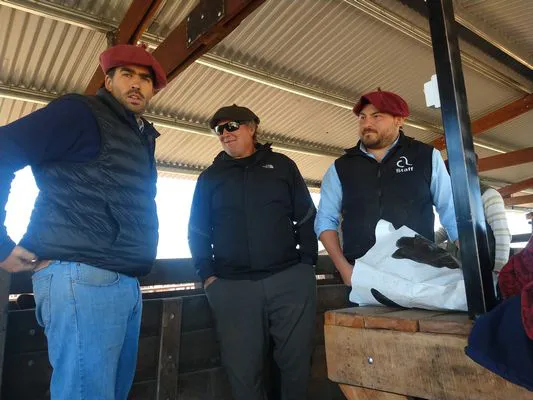 tn_IMG_20231116_105314906