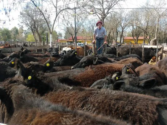 tn_IMG_20230928_153623259