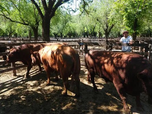 tn_IMG_20231108_145558393