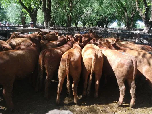 tn_IMG_20231108_152510439