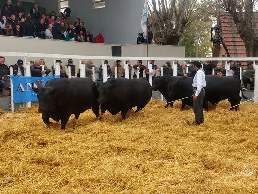 tn_IMG_20230922_153248823_HDR