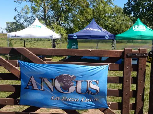 tn_IMG_20231116_111001633