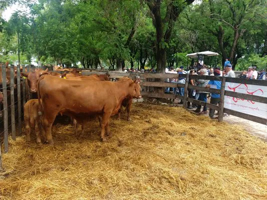 tn_IMG_20231129_142248835