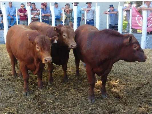 tn_IMG_20231108_160944540