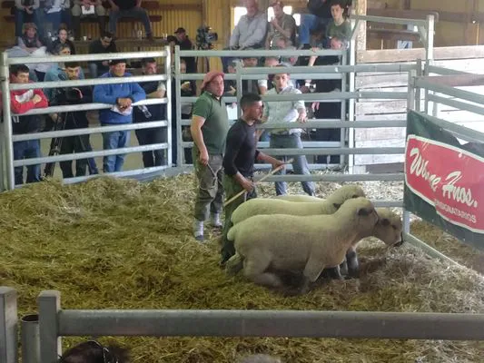 tn_IMG_20230928_142712078