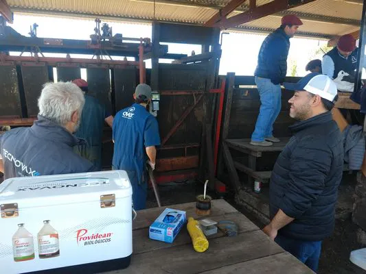 tn_IMG_20231116_104728823