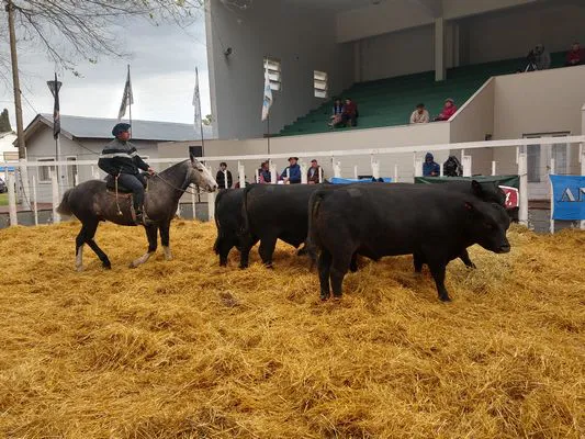 tn_IMG_20230922_170046223_HDR