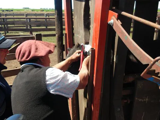 tn_IMG_20231116_105926474