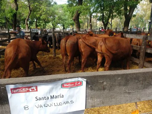 tn_IMG_20231129_153822741