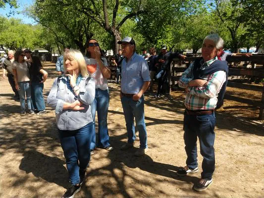 tn_IMG_20231108_152536710