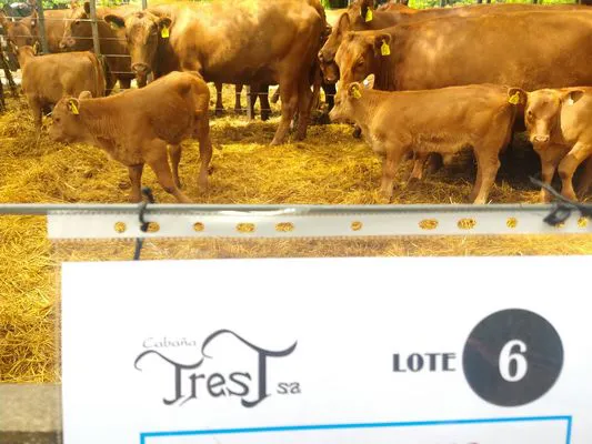 tn_IMG_20231129_142622717