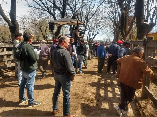 tn_IMG_20230928_114447893_HDR