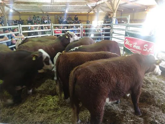 tn_IMG_20230928_141849496