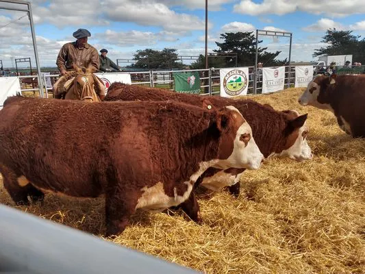 tn_IMG_20230929_152600374_HDR