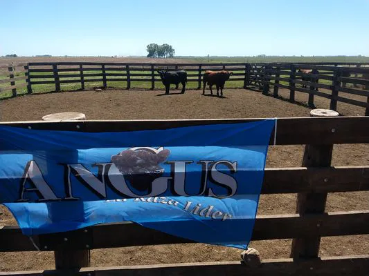 tn_IMG_20231116_104655022