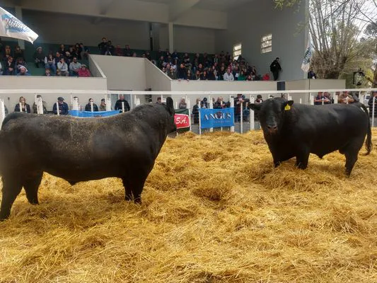 tn_IMG_20230922_145917428_HDR