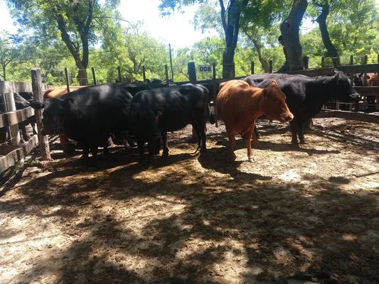 tn_IMG_20231122_135341610