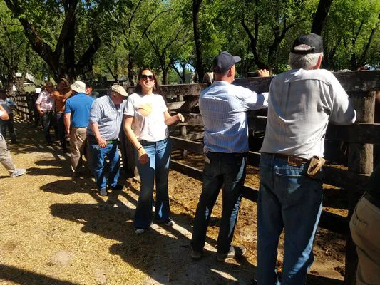 tn_IMG_20231108_154506811