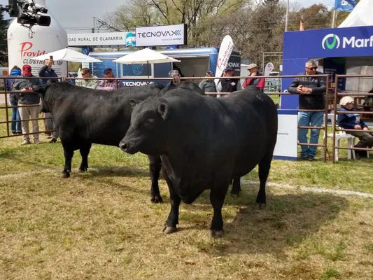 tn_IMG_20230922_122659965_HDR