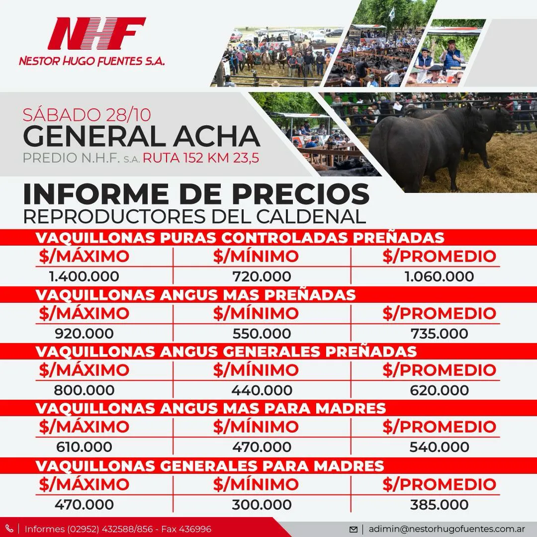 NHF