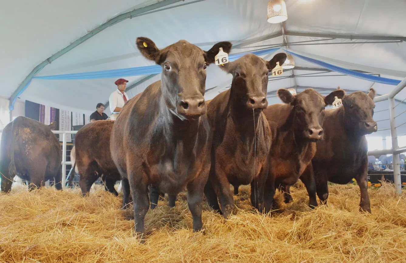 WhatsApp Image 2023-10-04 at 17.23.10