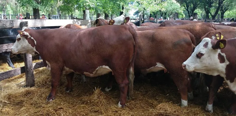 tn_IMG_20231129_151233885