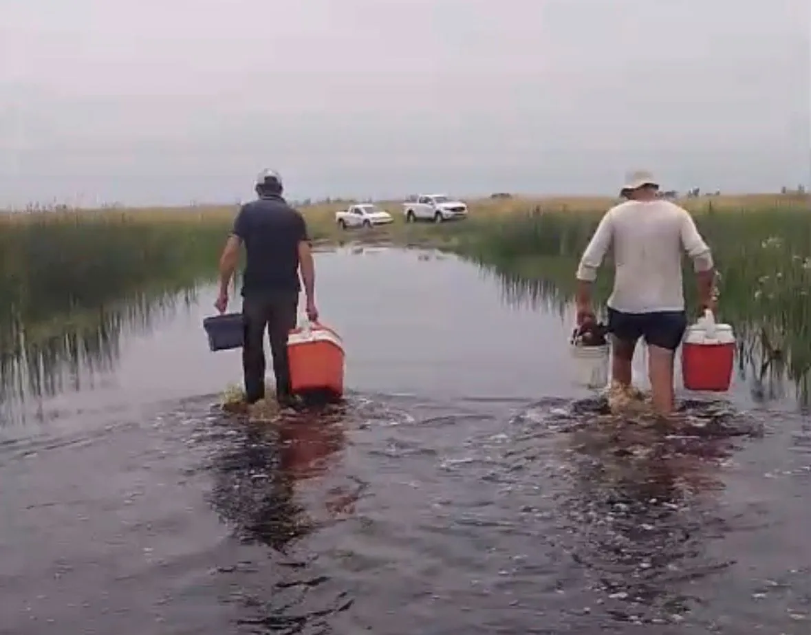 WhatsApp Image 2025-12-13 at 6.42.57 PM