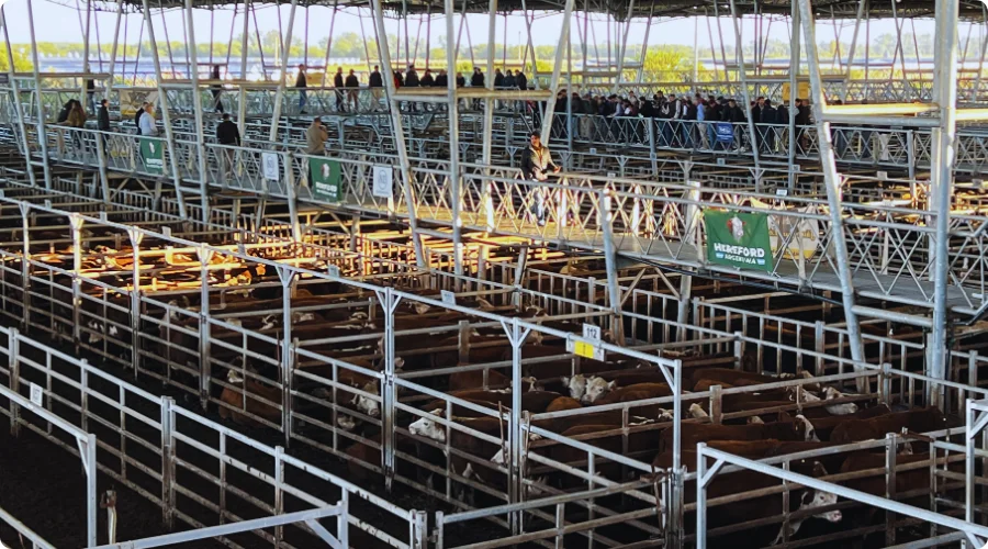 Foto-web-notas-700x500-5-1 (1)