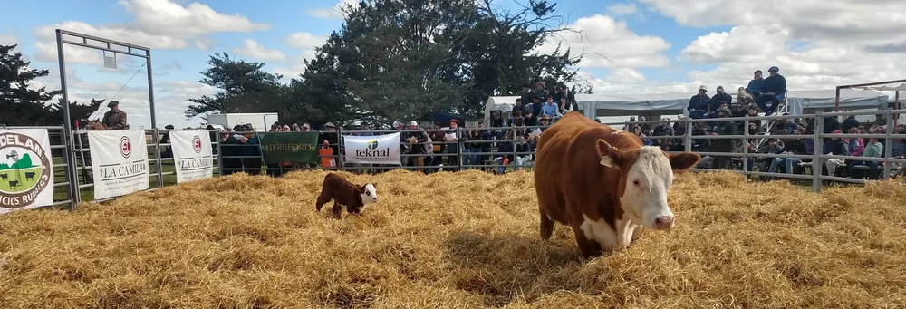 IMG_20230929_144518431_HDR